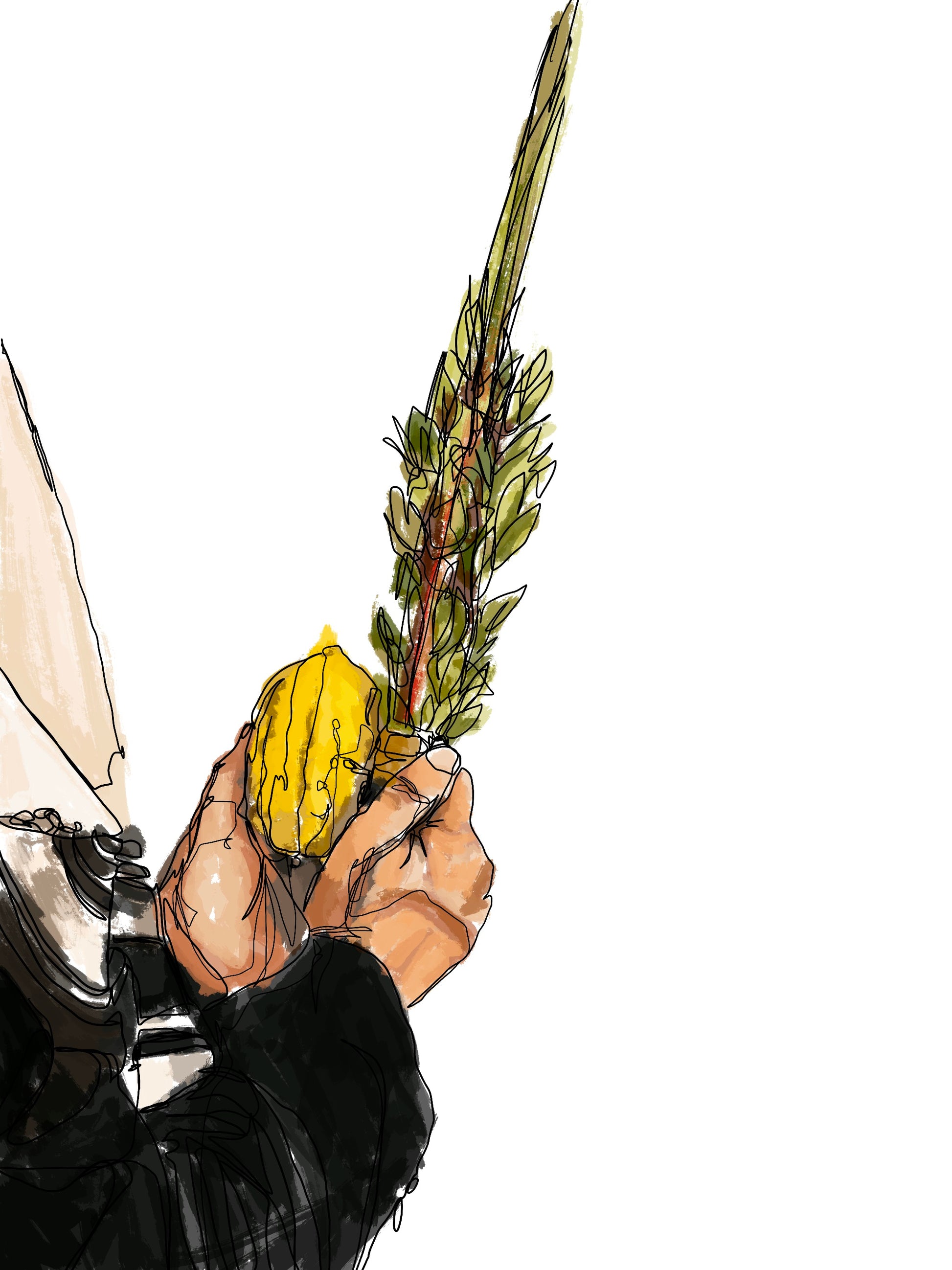 Man Holding Lulav and Etrog (laminated print)