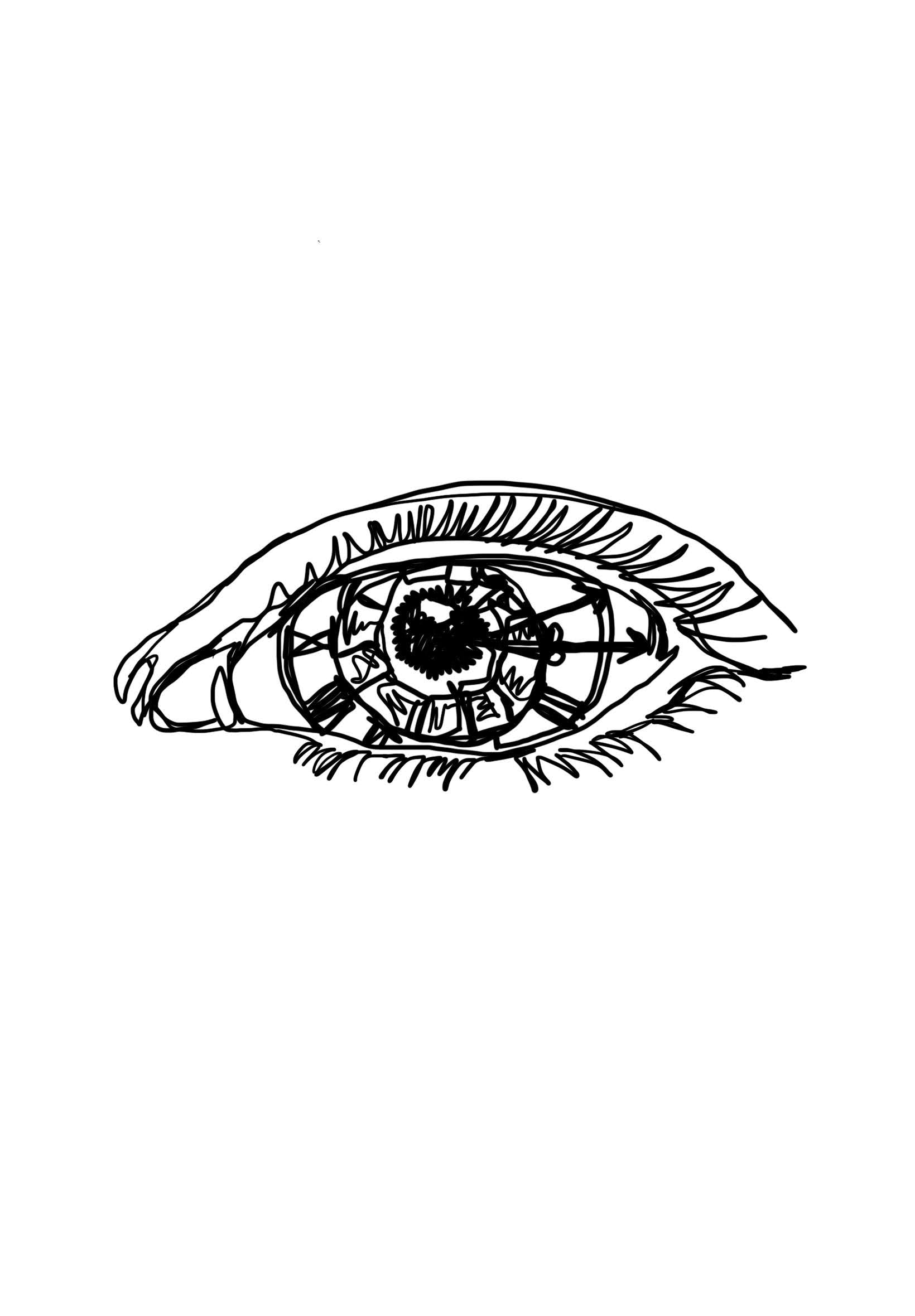 Line Art Collection - Print (11 x 17 inches)