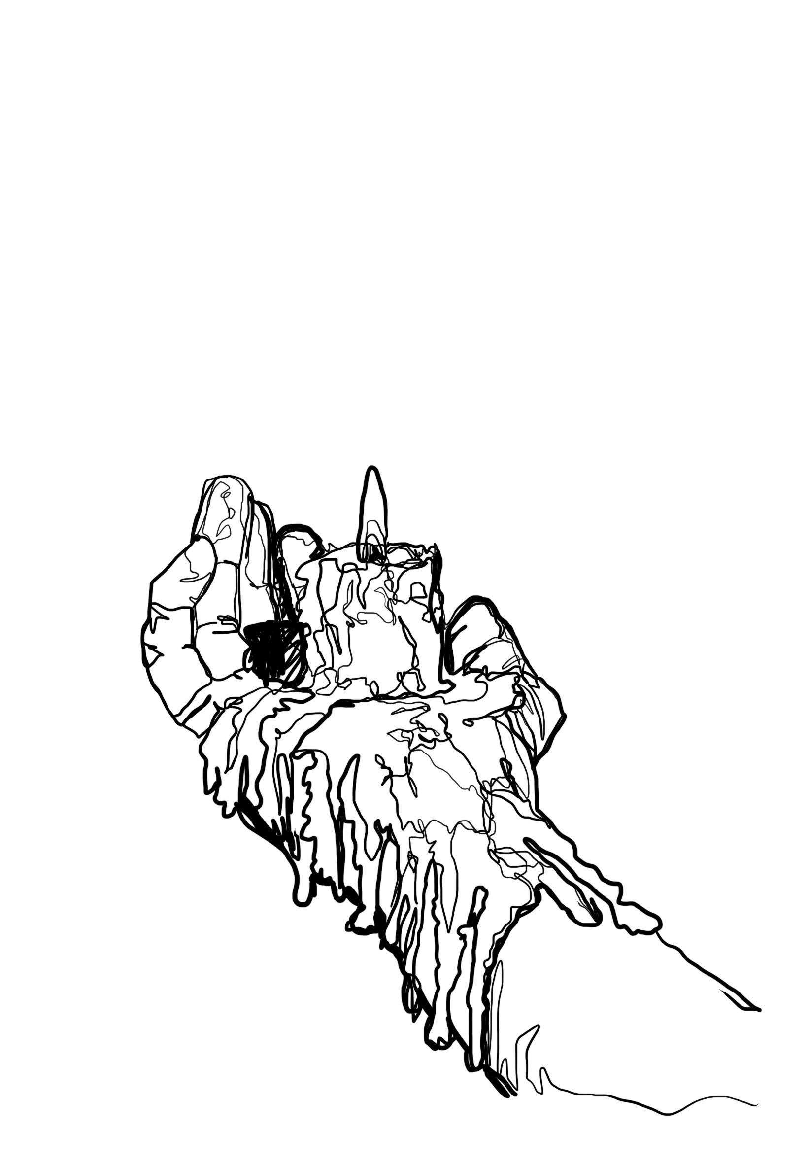 Line Art Collection - Print (11 x 17 inches)