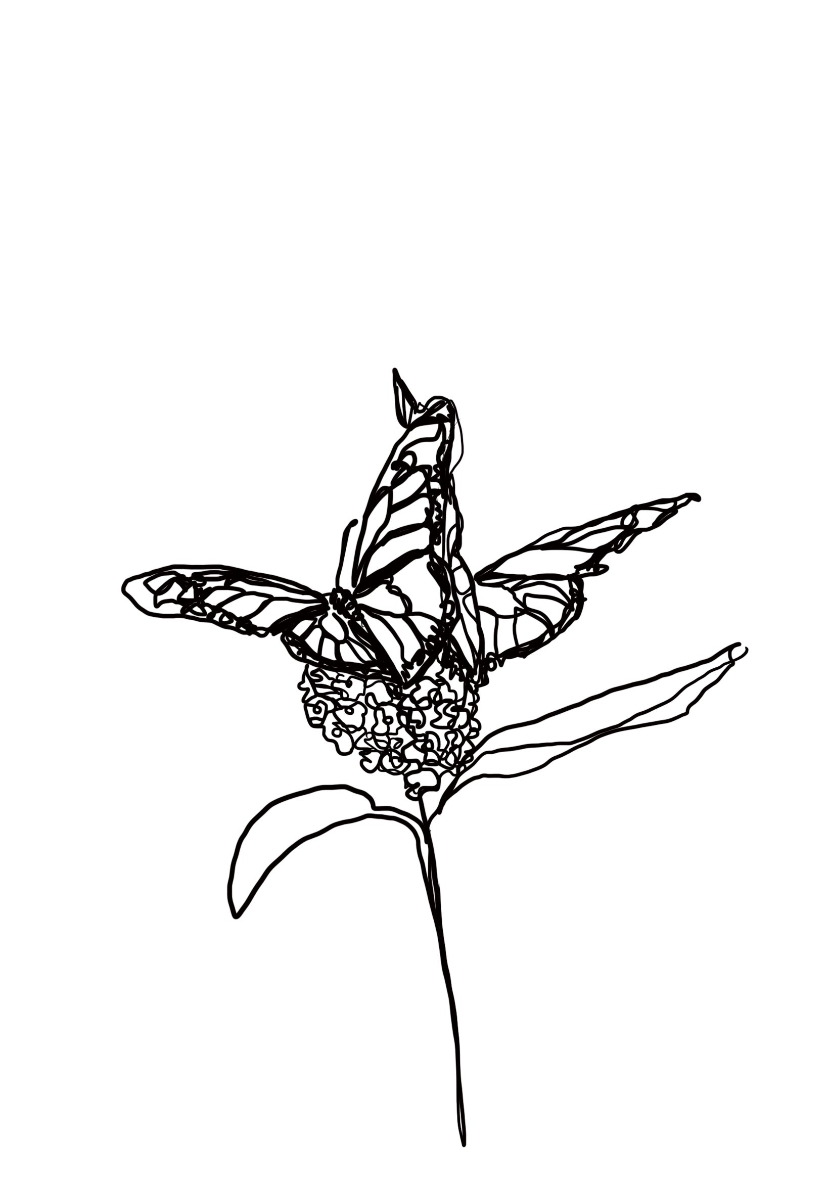 Line Art Collection - Print (11 x 17 inches)